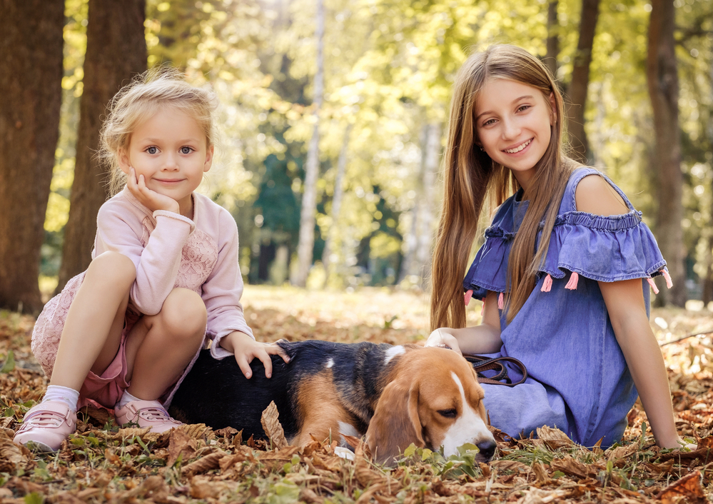 Beautiful sisters playing with dog in autumn park