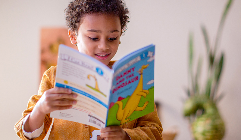 Young boy reading a book